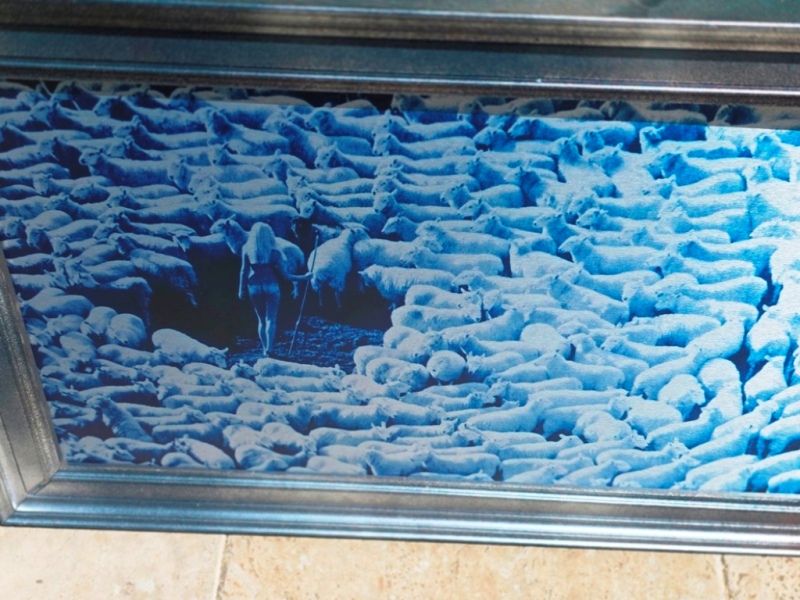 Nude in Sheep, Blue artistic print on aluminium, photo by Michael Joseph - Image 5