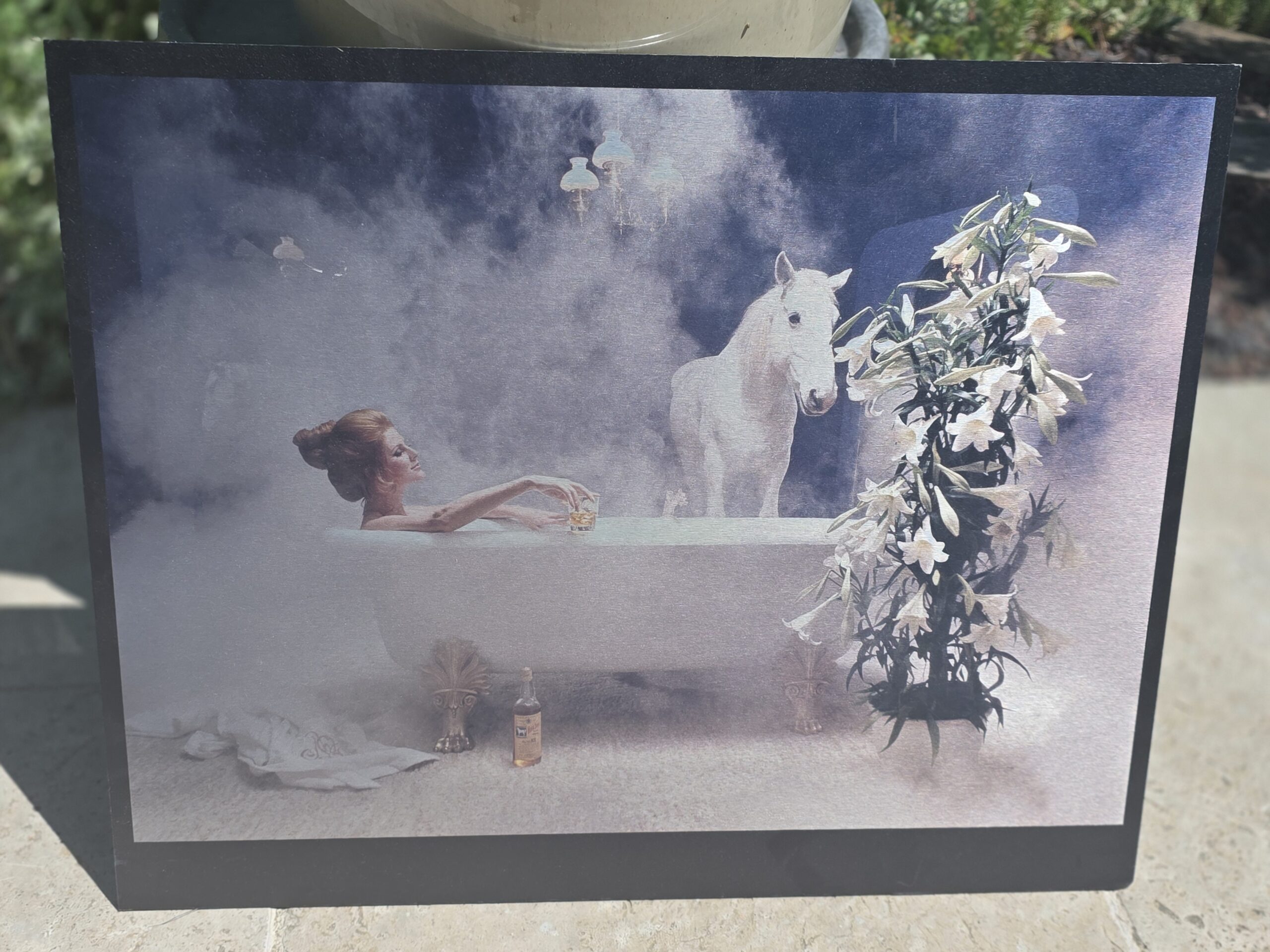 Girl in bath with White Horse behind, print on aluminium, photo by Michael Joseph - Image 4