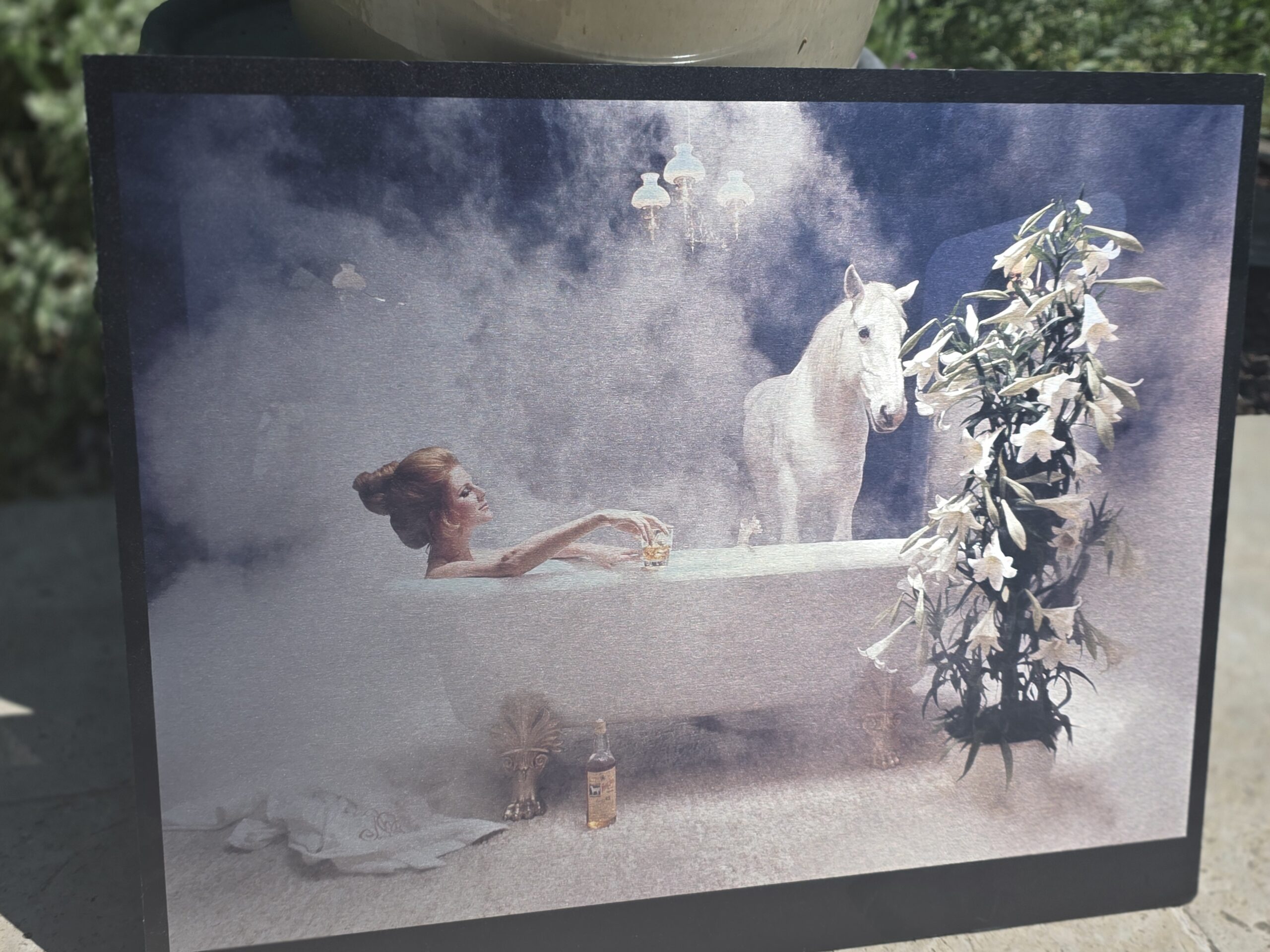 Girl in bath with White Horse behind, print on aluminium, photo by Michael Joseph - Image 3
