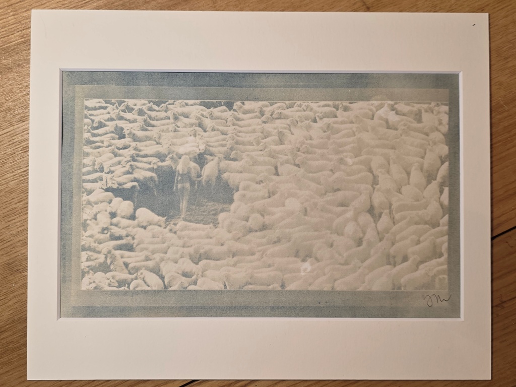 Bergère Nue entourée de ses moutons - Cyanotype d'un négatif original par Michael Joseph – Image 2