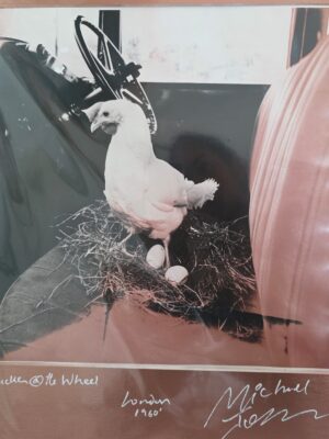 Poule au volant, par Michael Joseph