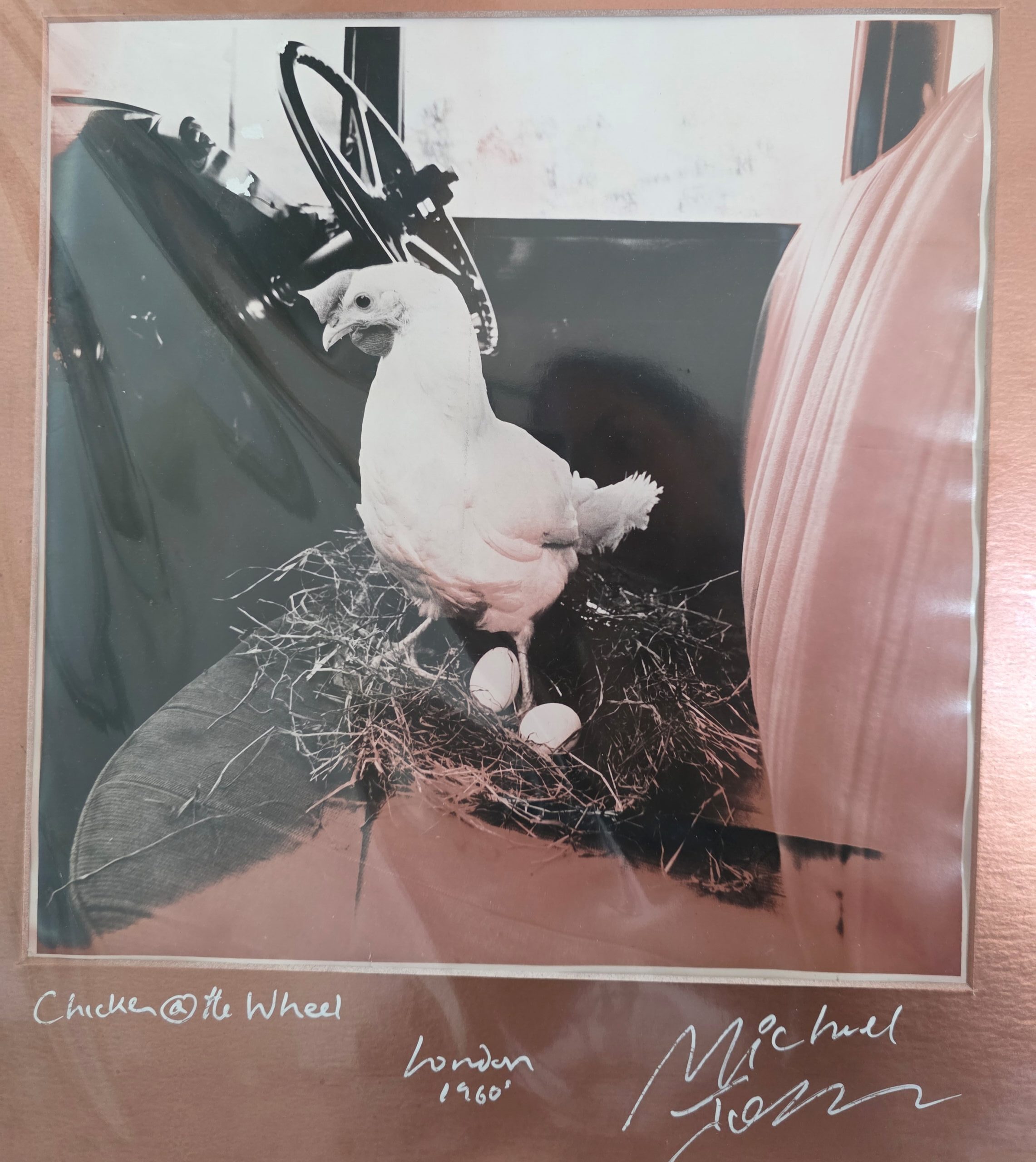 Poule au volant, par Michael Joseph