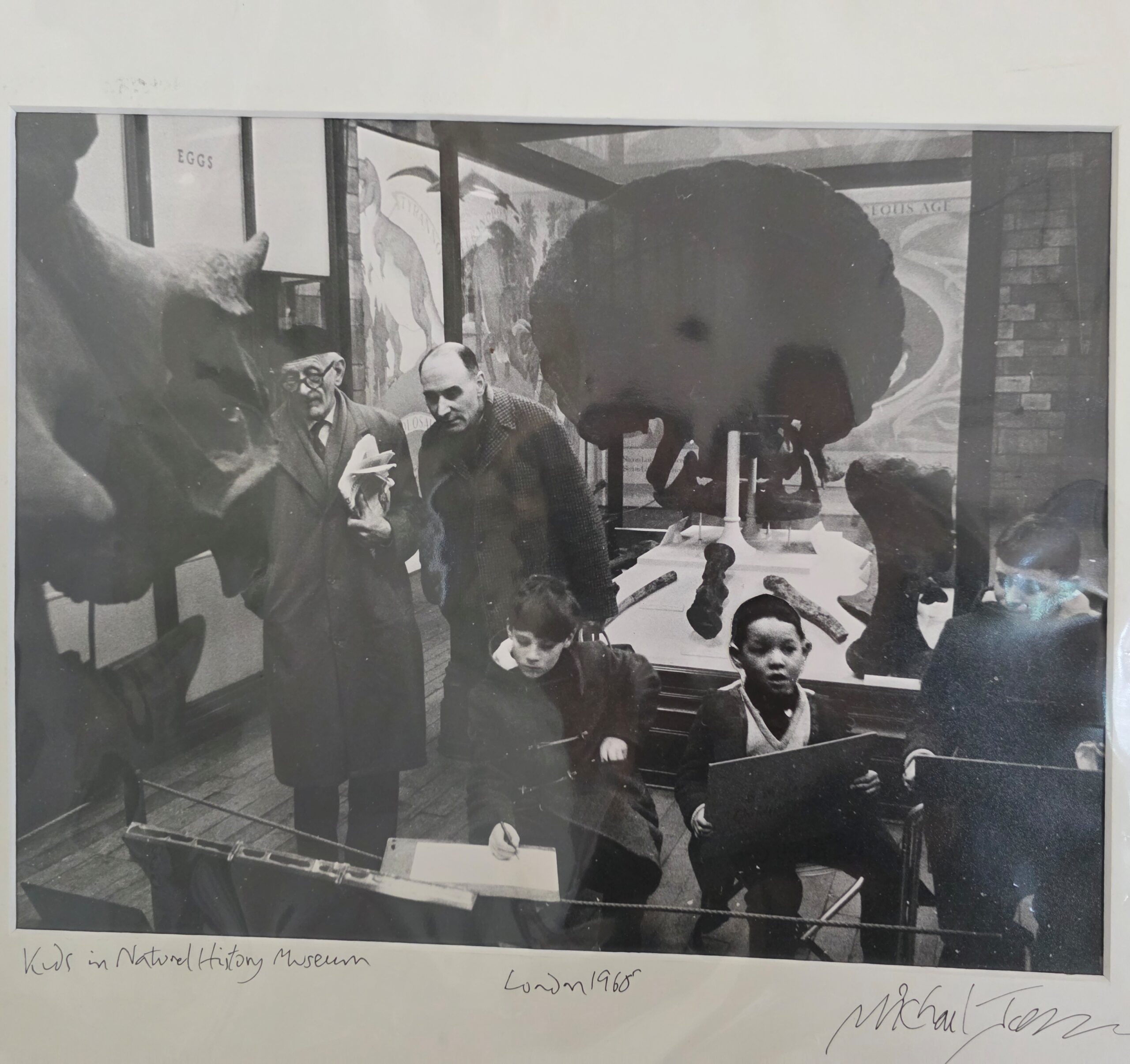 Enfants au musée Naturel Histoire de Londres, années soixante par Michael Joseph