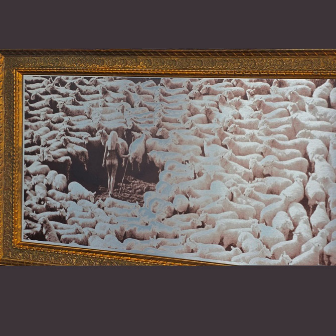 Nude in Sheep, Tirage artistique coloris brun sur aluminium, photo par Michael Joseph, dans cadre couleur doré – Image 4