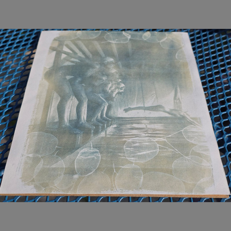 False Start – Pool Ladies Photo Shoot – Honesty Cyanotype - Image 5