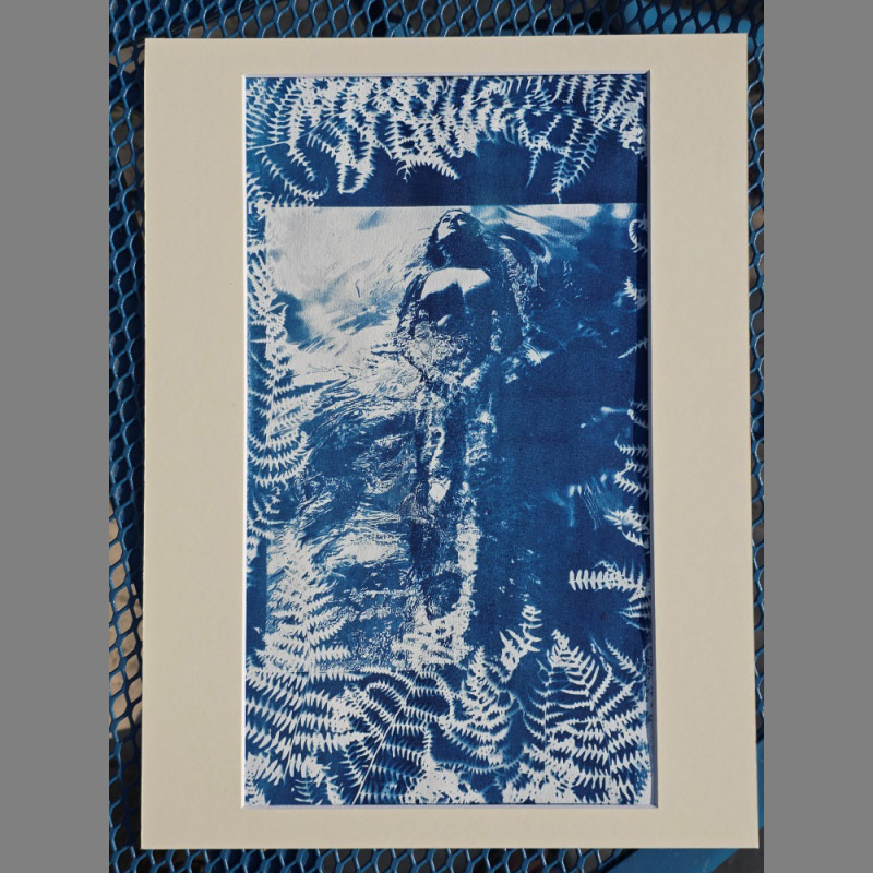 Nageuse solitaire dans un ecrin de fougères – cyanotype séance photo « Pool Ladies » par Michael Joseph – Image 2