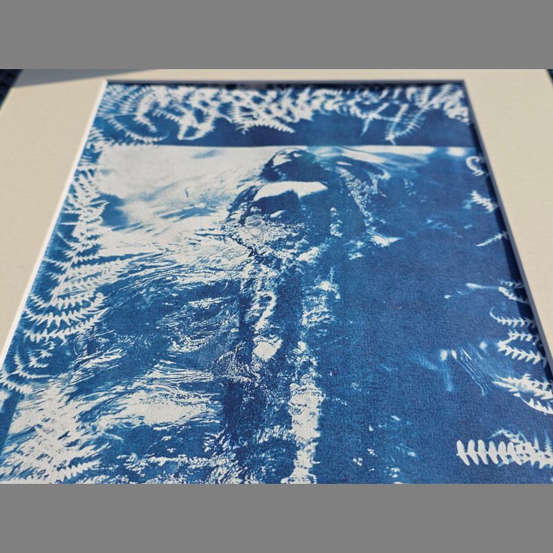 Nageuse solitaire dans un ecrin de fougères – cyanotype séance photo « Pool Ladies » par Michael Joseph – Image 3