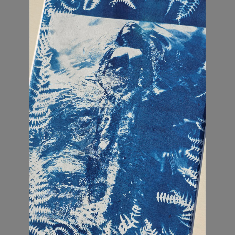 Nageuse solitaire dans un ecrin de fougères – cyanotype séance photo « Pool Ladies » par Michael Joseph – Image 4