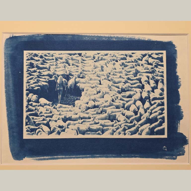 Bergère nue entourée de moutons - Cyanotype sous passe-partout blanc-cassé - photo par Michael Joseph – Image 4