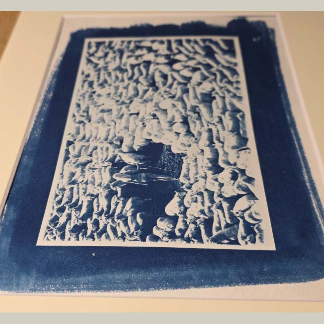 Bergère nue entourée de moutons - Cyanotype sous passe-partout blanc-cassé - photo par Michael Joseph – Image 6