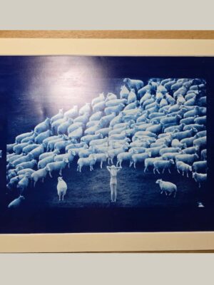 Bergère nue avec moutons - cyanotype sur papier photographique des archives de Michael Joseph