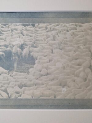 Bergère Nue entourée de ses moutons - Cyanotype d'un négatif original par Michael Joseph