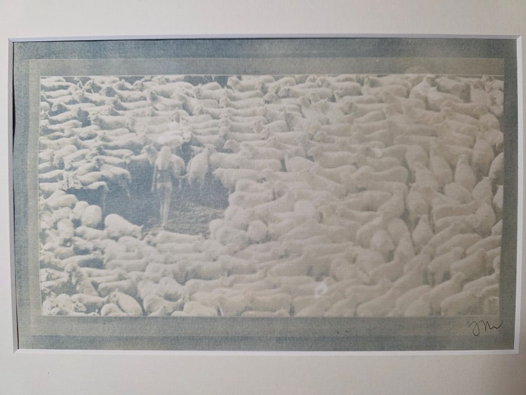 Bergère Nue entourée de ses moutons - Cyanotype d'un négatif original par Michael Joseph