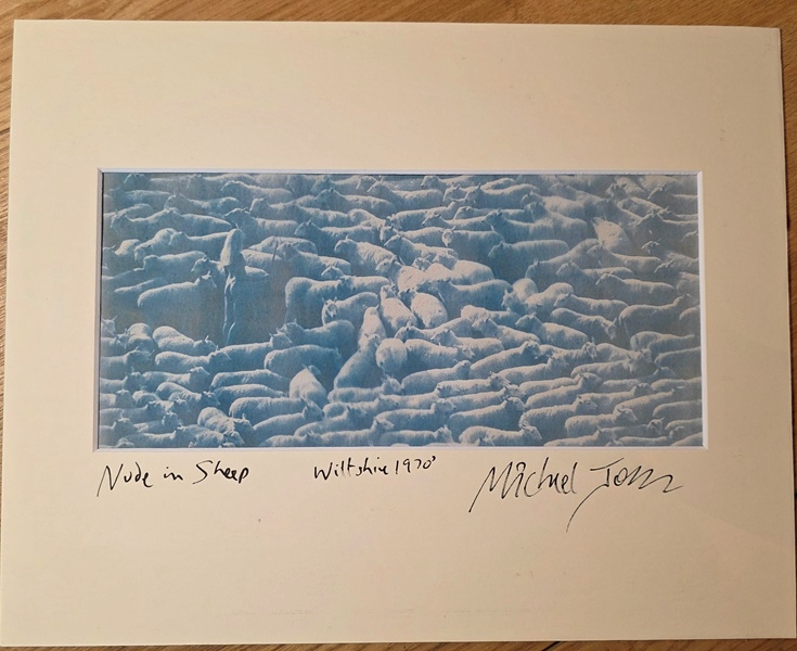Moutons avec bergère nue - Cyanotype d'un négatif original, signé par Michael Joseph – Image 2