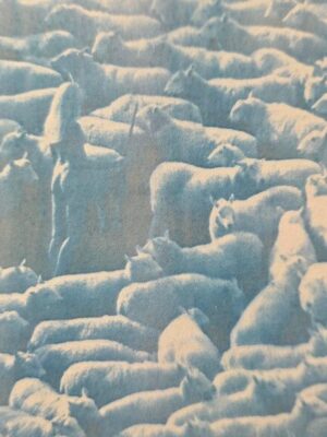 Moutons avec bergère nue - Cyanotype d'un négatif original, signé par Michael Joseph
