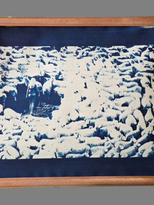 Bergère nue dans les moutons, cyanotype encadré d'une photo iconique par Michael Joseph