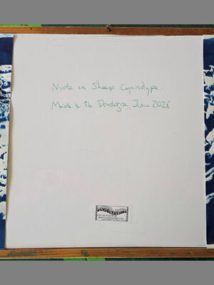 GB-03 Nude in sheep cyanotype 02