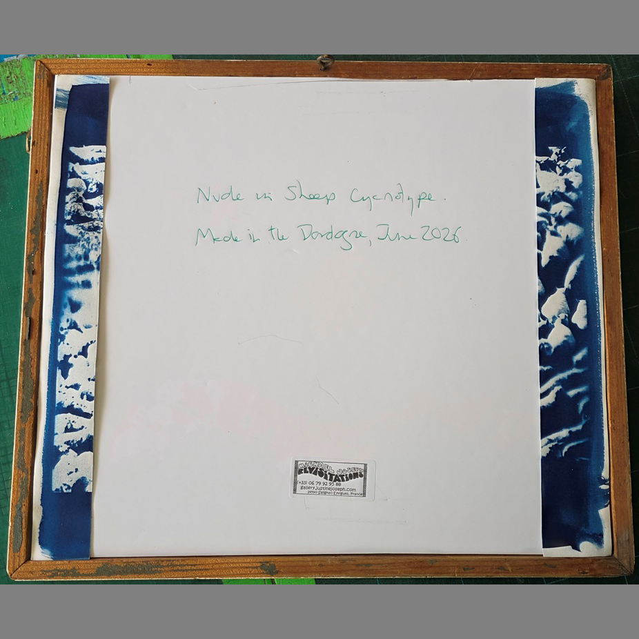 Nude in sheep, framed cyanotype from an iconic photograph by Michael Joseph - Image 2