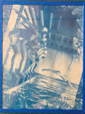 Faux départ dans un écrin de fougères - cyanotype d'une photo par Michael Joseph