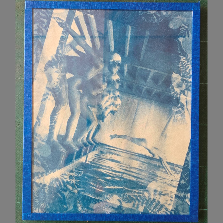 Faux départ dans un écrin de fougères - cyanotype d'une photo par Michael Joseph