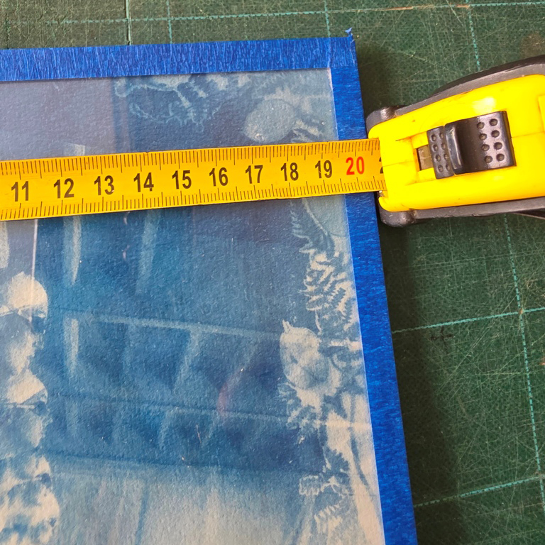 Faux départ dans un écrin de fougères - cyanotype d'une photo par Michael Joseph – Image 3