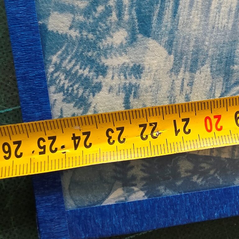 Faux départ dans un écrin de fougères - cyanotype d'une photo par Michael Joseph – Image 4