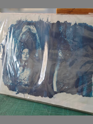 GB-06 SO Zoom cyanotype 02